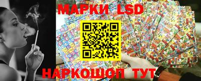 apvp Камышлов