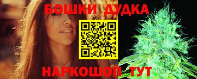 apvp Камышлов