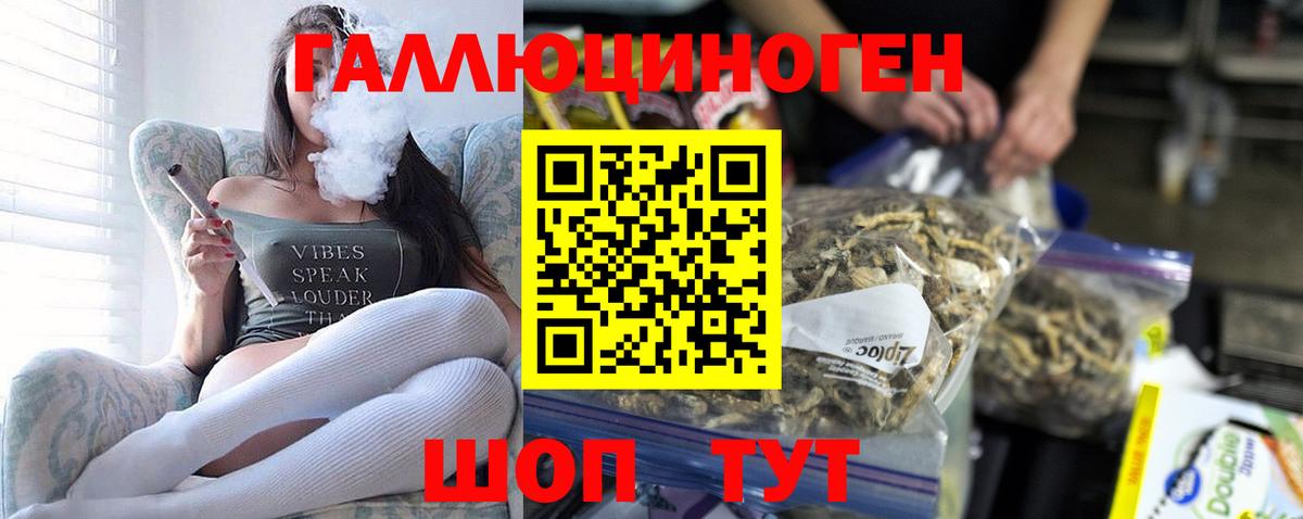 как найти закладки  Кубинка  Псилоцибиновые грибы Magic Shrooms 